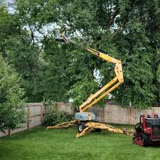 Best Lot and Land Clearing  in Union Beach, NJ