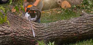 Best Soil Testing and Treatment  in Union Beach, NJ