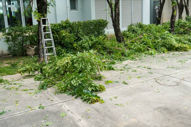 Best Lawn Watering Services  in Union Beach, NJ